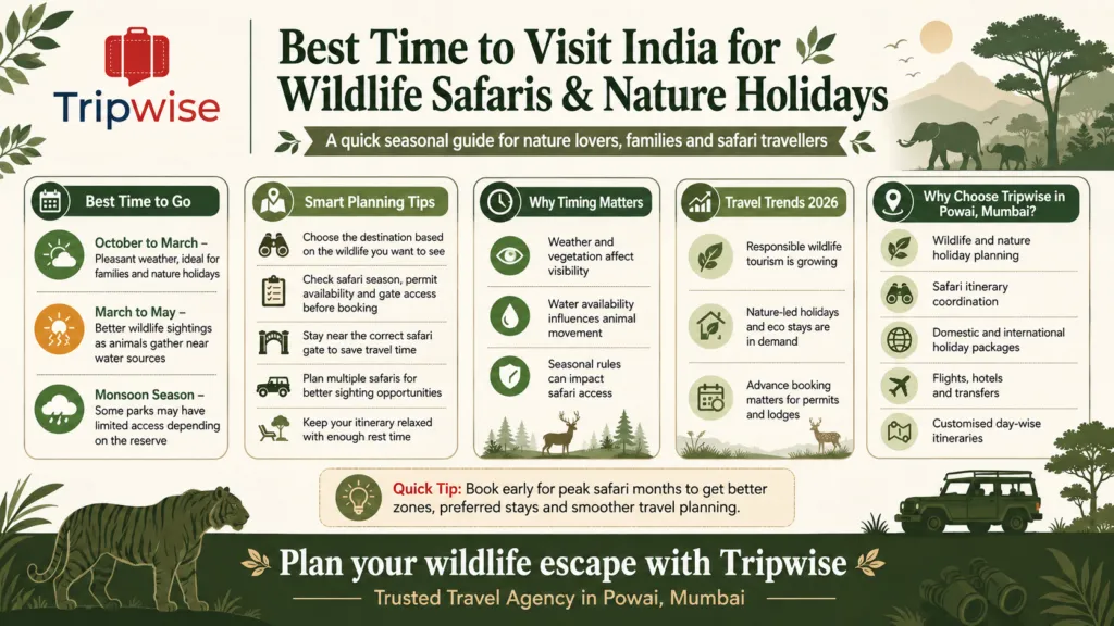 best time to visit india | Travel Agency in Powai