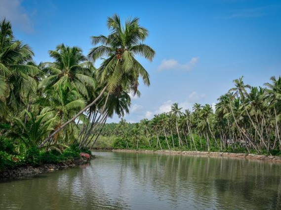 Kerala - Custom Tour