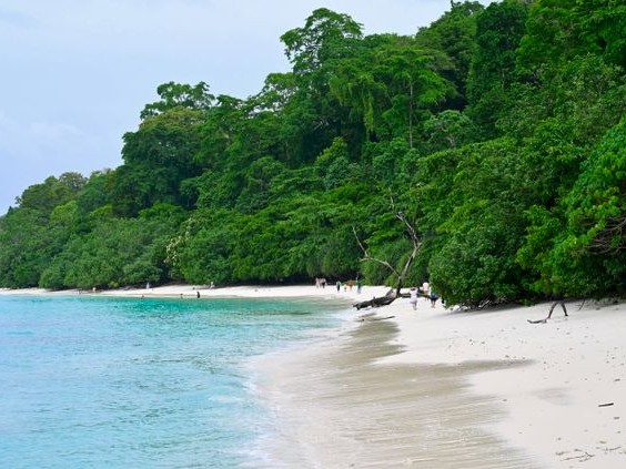 Andaman - Custom Tour