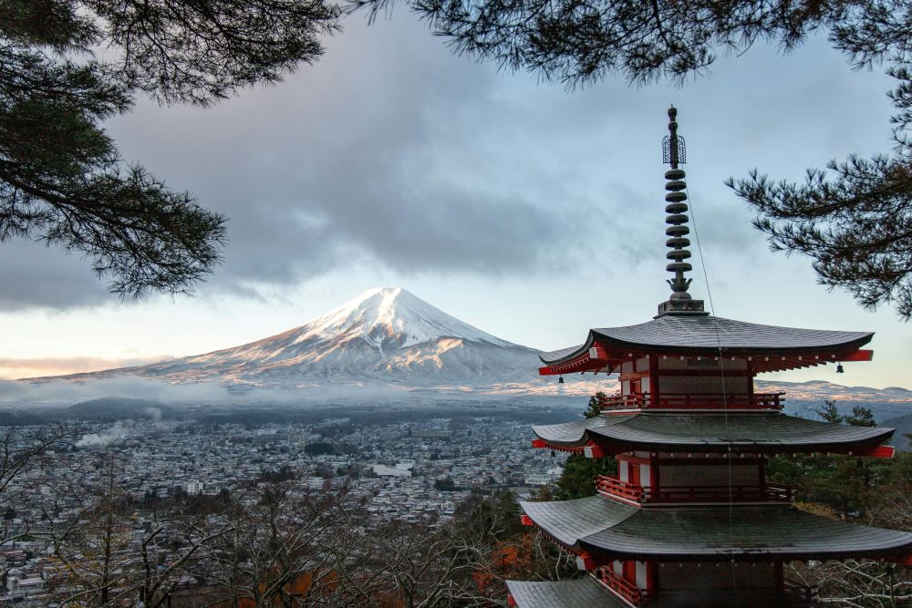 Embark on a Journey of a Lifetime - Japan Group Tour